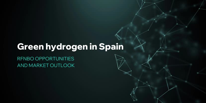 Green hydrogen in Spain: RFNBO opportunities and market outlook