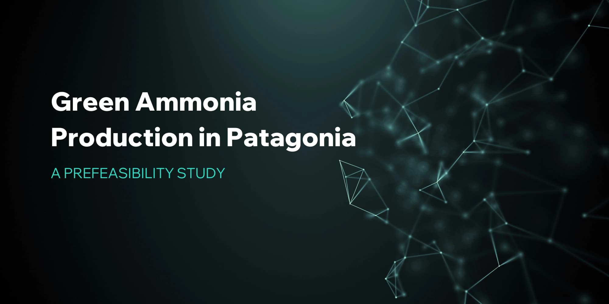 Green Ammonia Production in Patagonia: A Prefeasibility Study